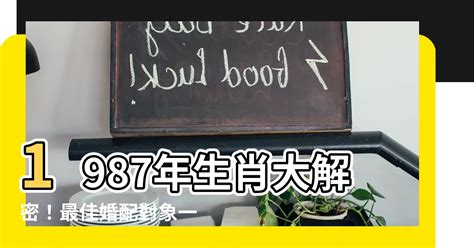 1987什麼年|1987是民國幾年？1987是什麼生肖？1987幾歲？